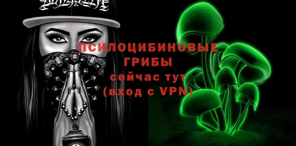 гашик Михайловск