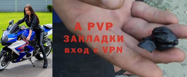 гашик Михайловск