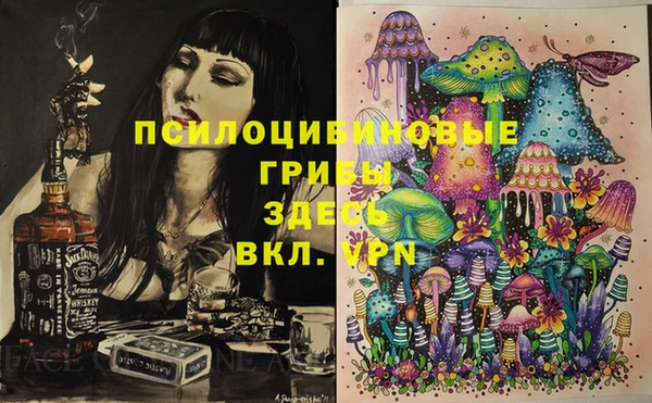 a pvp Михайлов
