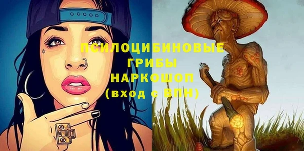 a pvp Михайлов